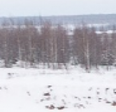 Ход строительства дома № 12 в Новинки от GloraX -