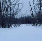 Ход строительства дома 1, секция 1.1 в ЖК Расцветай в Новолуговом -