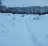 Ход строительства дома 8 в ЖК Расцветай на Зорге -
