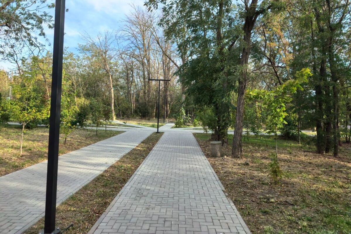 Власти объяснили, какие деревья вырубят в сквере на ул. Ермака в Аксае - фото 1