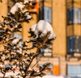 Ход строительства дома 5.1 в ЖК Вознесенский квартал -