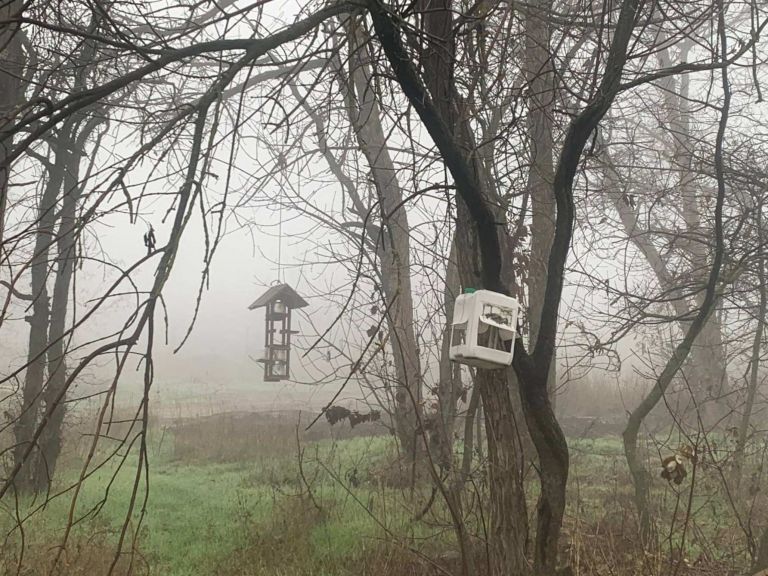 Источник: ДОМОСТРОЙДОН.РУ