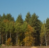 Ход строительства дома 3 в ЖК GloraX Экосити Премиум -