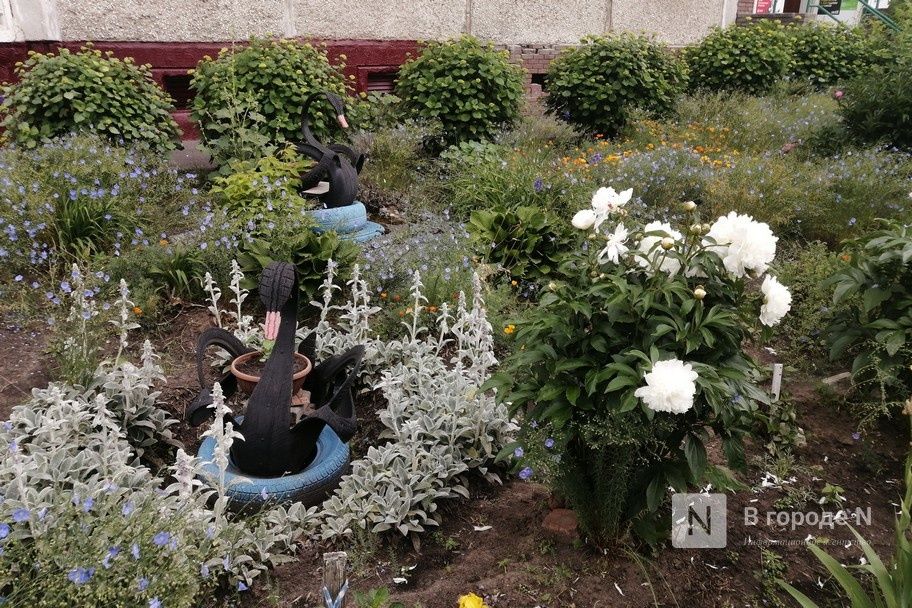Самые красивые дворы с цветниками выберут в Автозаводском районе - фото 2
