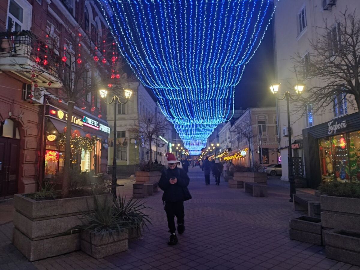 Скрябин заявил о планах создания новой пешеходной зоны в Ростове - фото 1