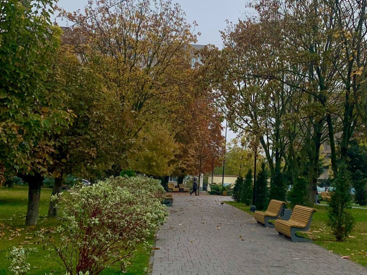 На Дону за нарушения правил благоустройства выписано штрафов на ₽1,2 млн - фото 1