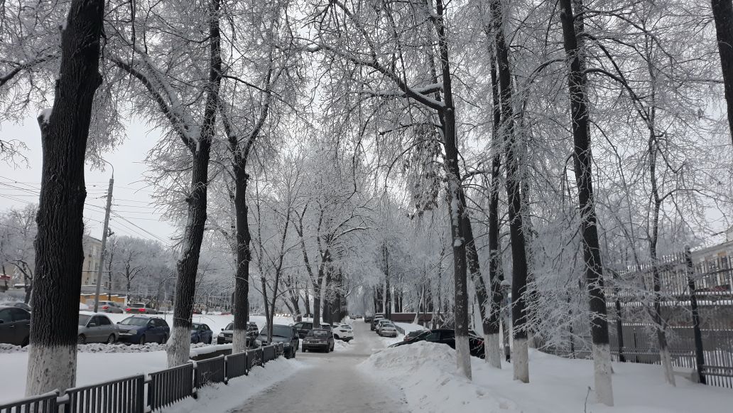 49 млн рублей направят на вывоз снега в четырех районах Нижнего Новгорода - фото 1