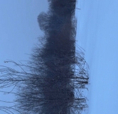 Ход строительства дома 2, секция 2.2 в ЖК Расцветай в Новолуговом -