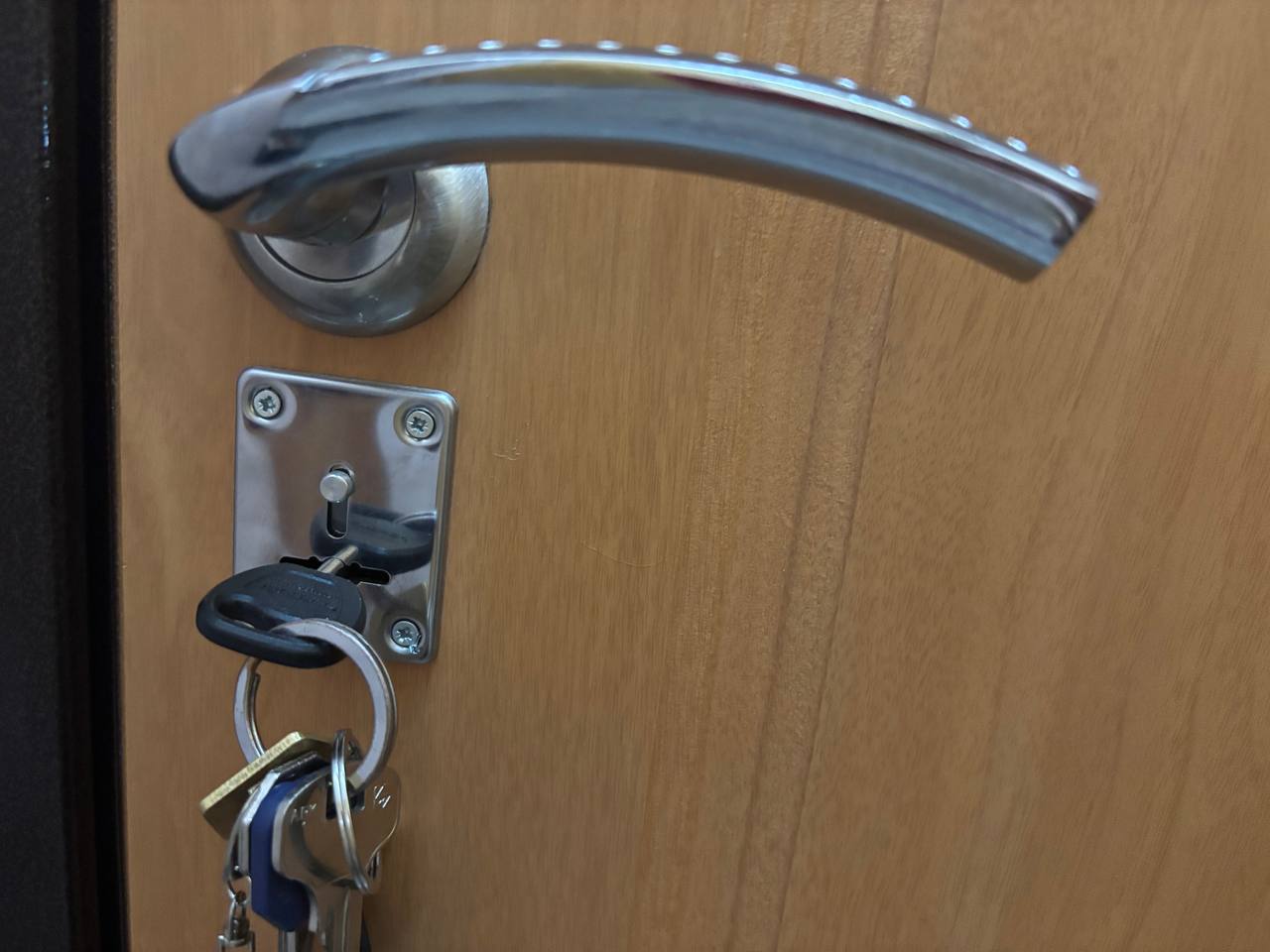 Аренда пятикомнатной квартиры в Нижнем Новгороде обошлась блогеру в 60 тысяч - фото 1