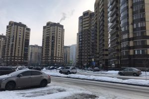 Число ДДУ в Нижегородской области в ноябре 2020 увеличилось более чем в два раза