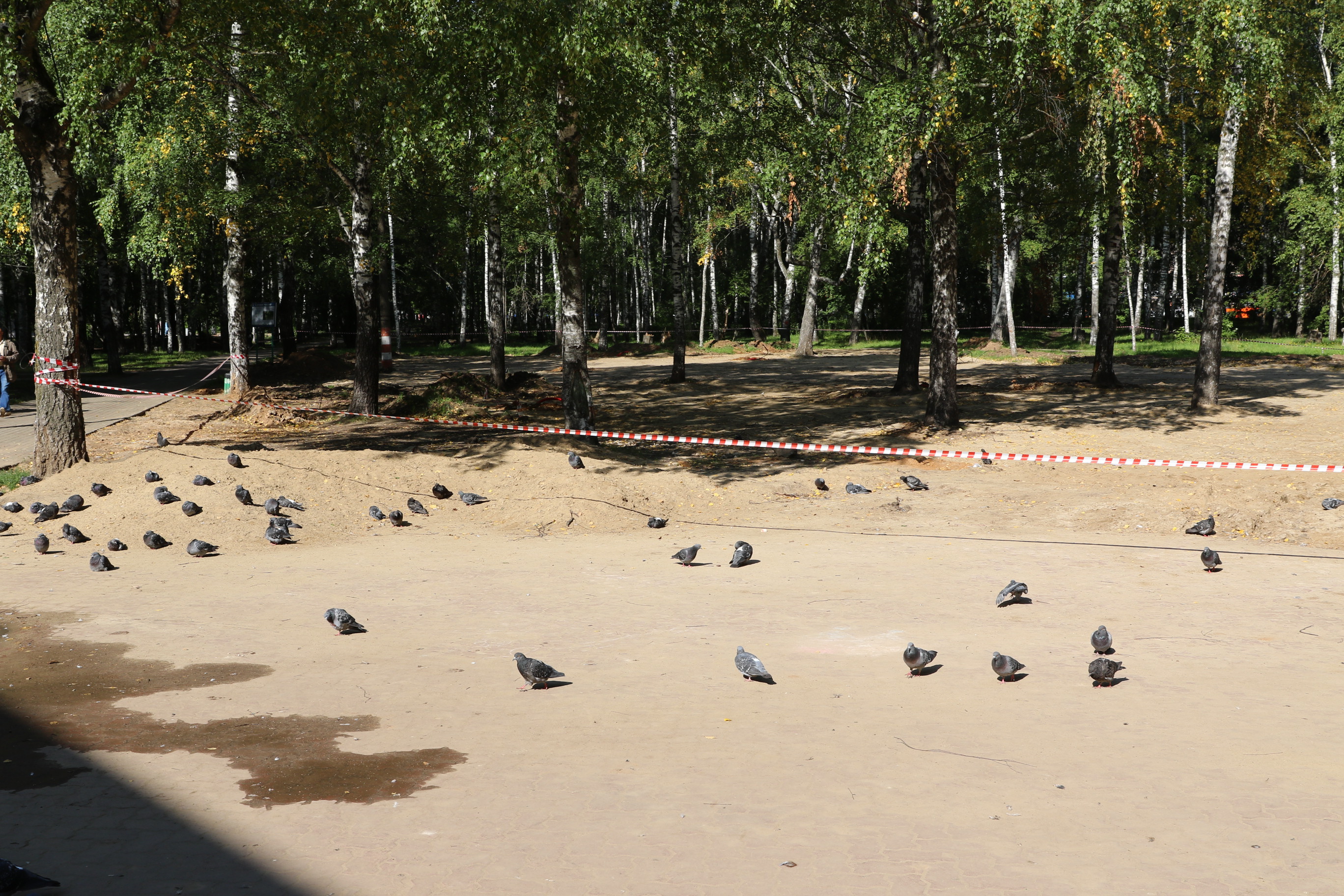 Парк им. Пушкина станет одной из пяти площадок для проведения праздничных мероприятий в День города