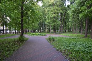 В Нижнем Новгороде приступили к созданию концепции развития парка имени Кулибина